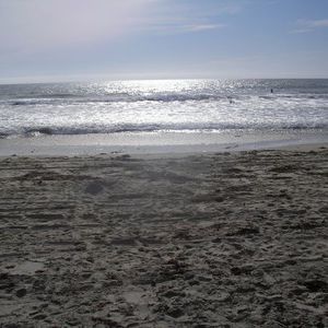 Meet your Posher, Drew